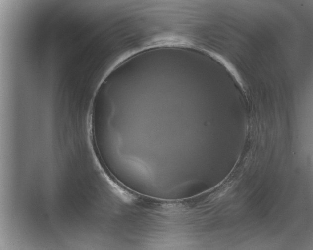 X0000073391383200608040850