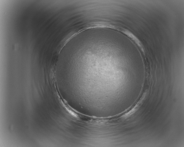 X0000073391385200608040850