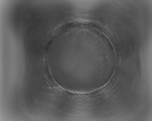 X0000073391397200608040849