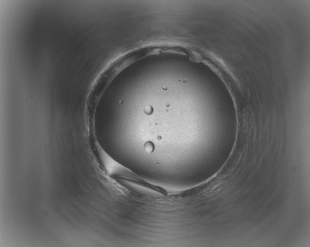 X0000073391408200608040849