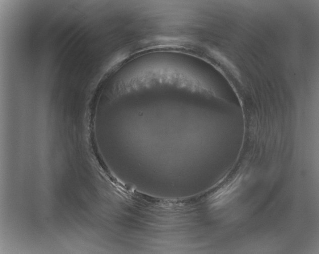 X0000073391411200608040849