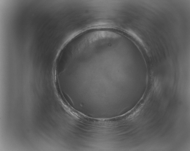 X0000073391413200608040849