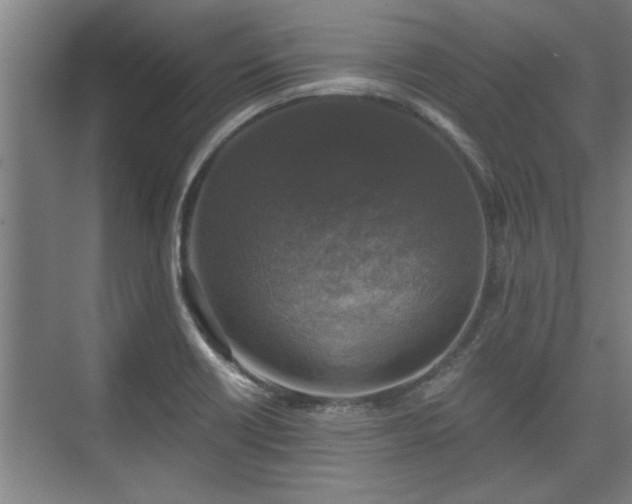 X0000073391418200608040849