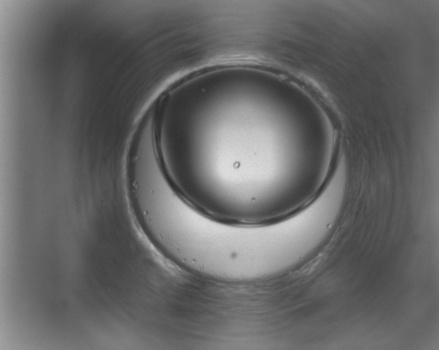 X0000073391422200608040849