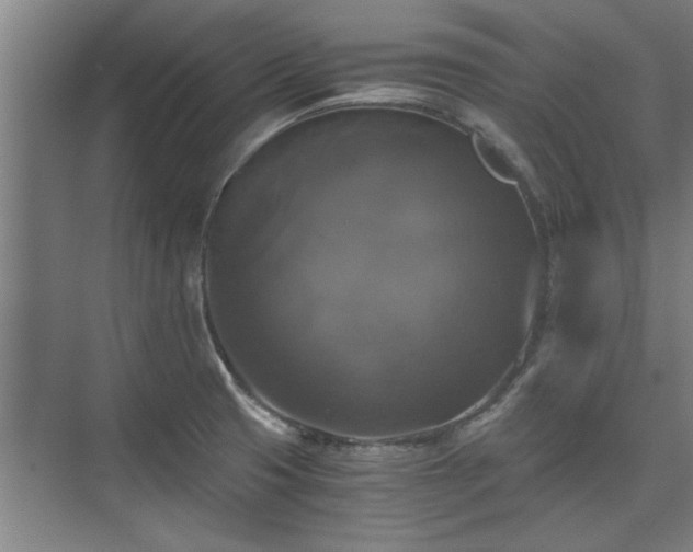 X0000073391425200608040849