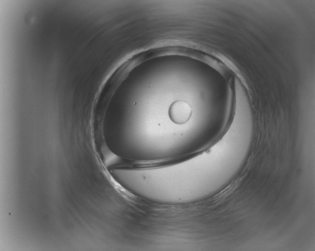 X0000073391438200608040850