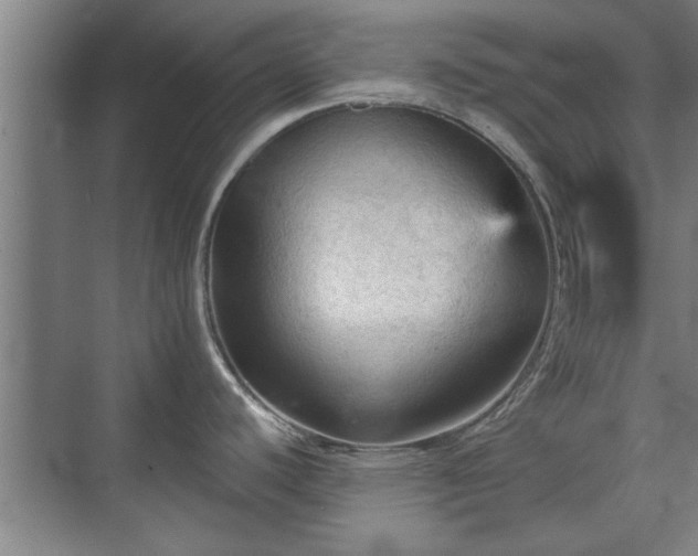 X0000073391440200608040850