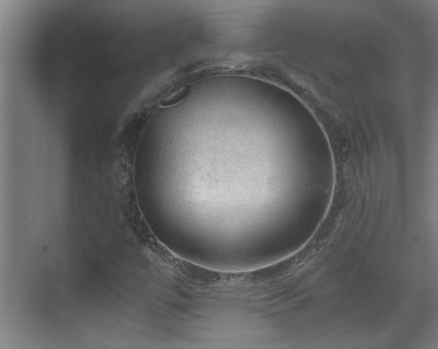 X0000073391447200608040849