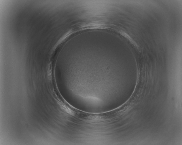 X0000073391450200608040849