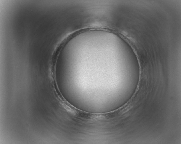 X0000073391454200608040849