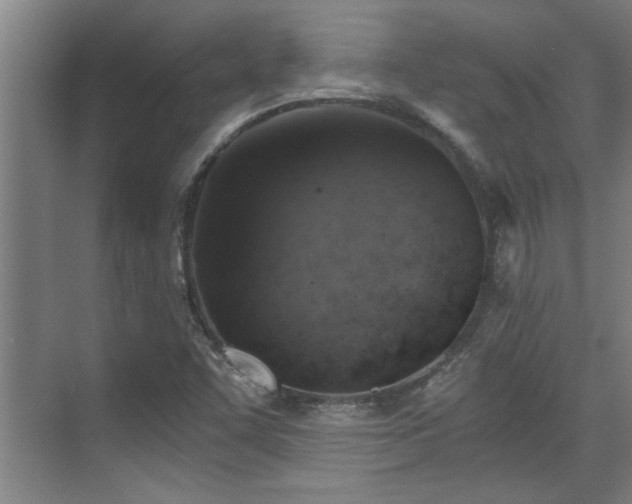 X0000073391455200608040849