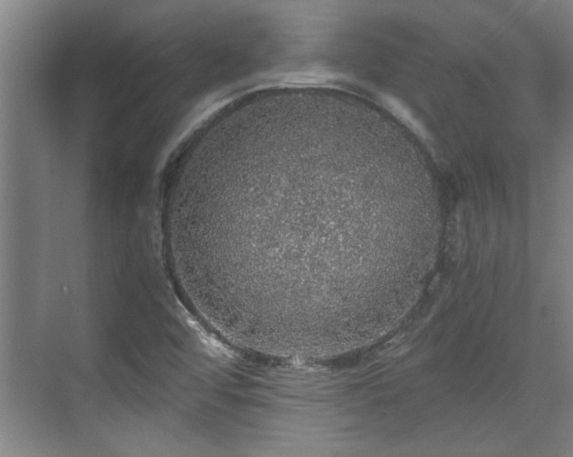 X0000073391456200608040849