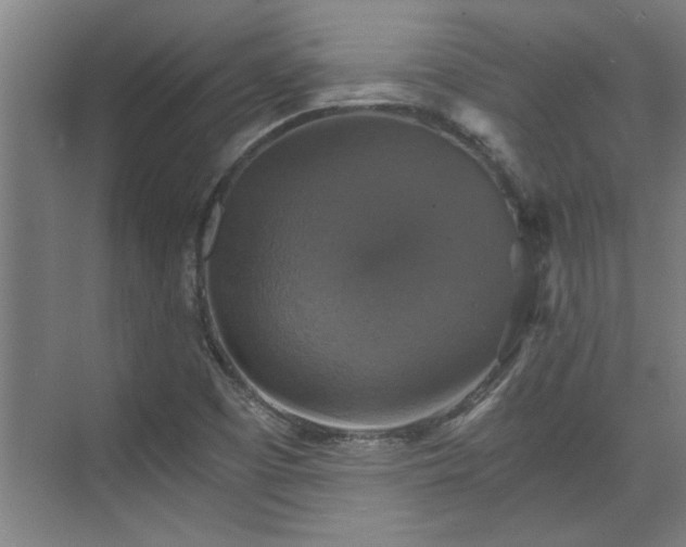 X0000073391457200608040849