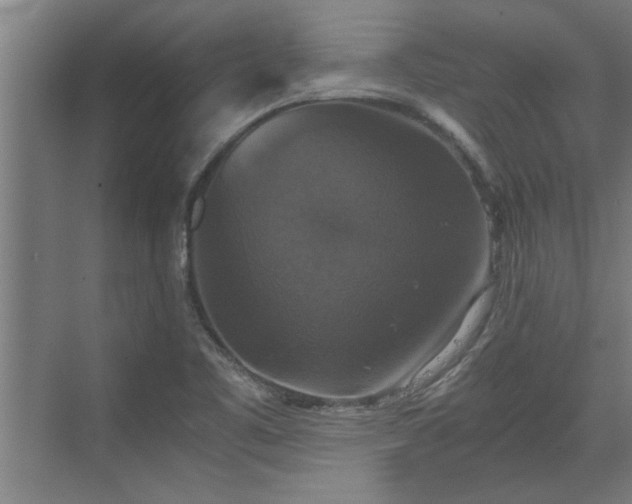 X0000073391461200608040849