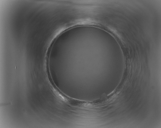 X0000073391463200608040849