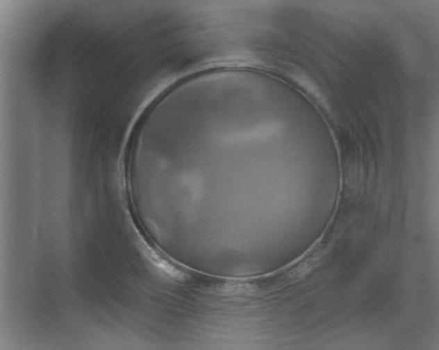 X0000073391466200608040848