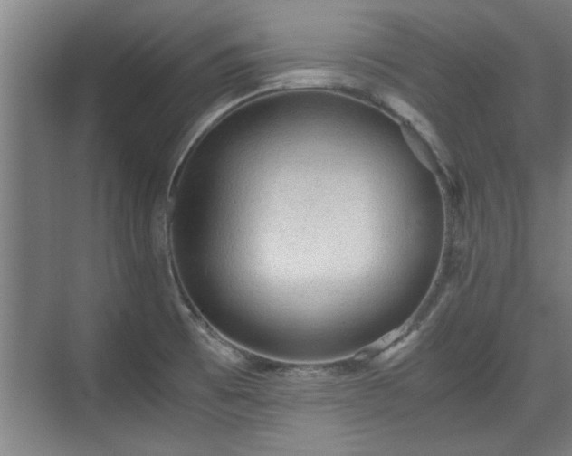 X0000073391473200608040848