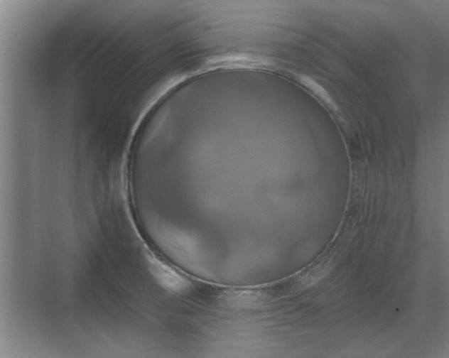 X0000073391474200608040848