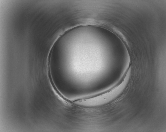 X0000073391479200608040848
