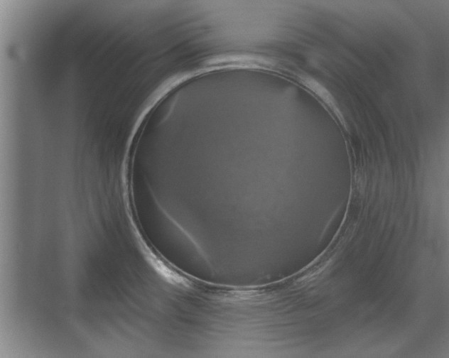 X0000073391482200608040848