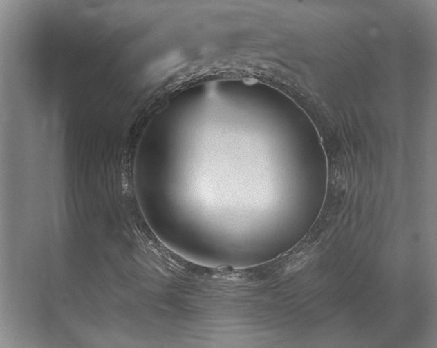 X0000073391490200608040847