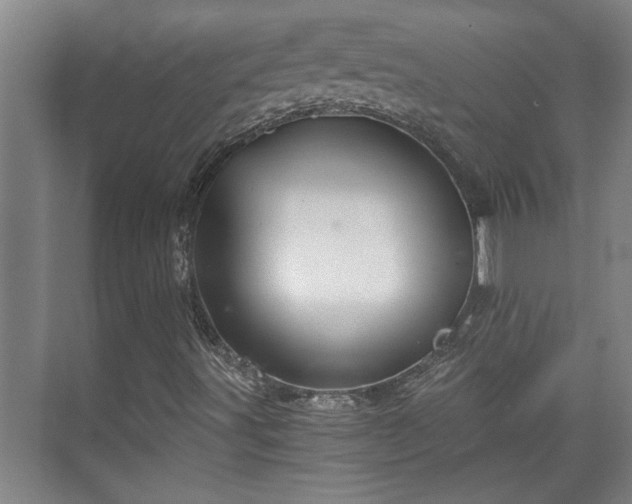 X0000073391491200608040847