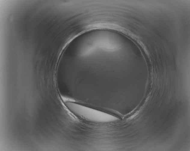 X0000073391529200608040848