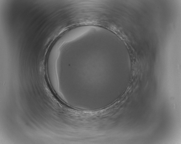 X0000073390002200608111245