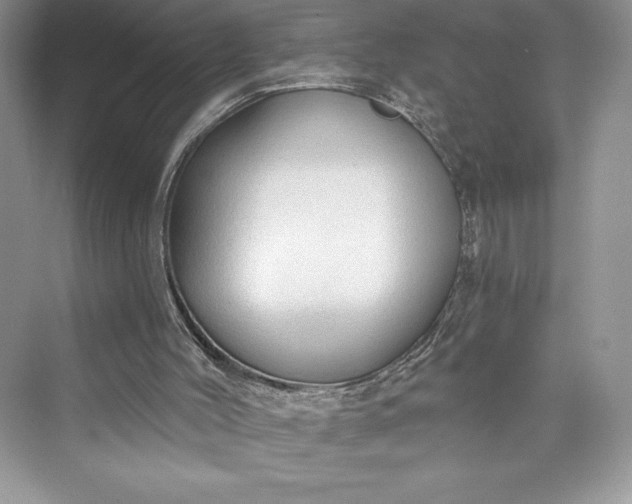 X0000073390004200608111245
