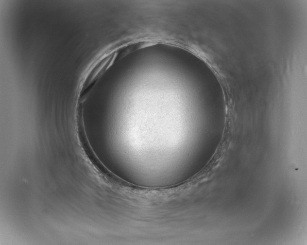 X0000073390007200608111245