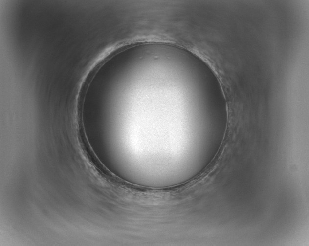 X0000073390008200608111245
