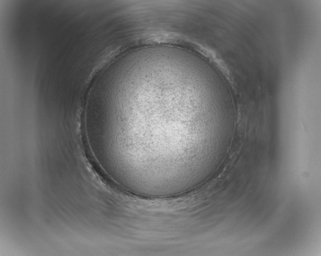X0000073390010200608111245