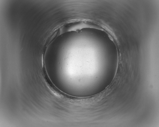 X0000073390013200608111245