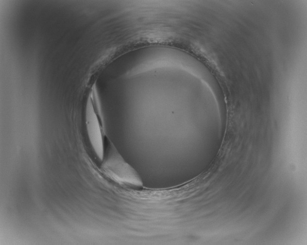 X0000073390019200608111245
