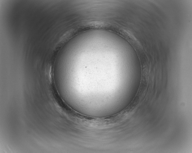 X0000073390024200608111245
