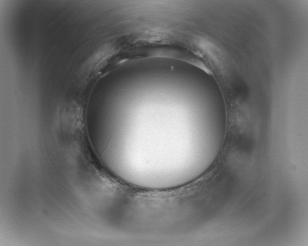 X0000073390025200608111245