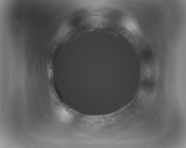 X0000073390029200608111244