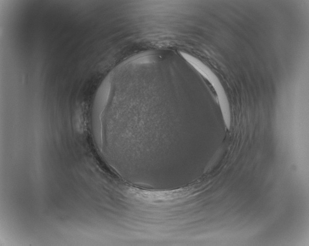 X0000073390030200608111244