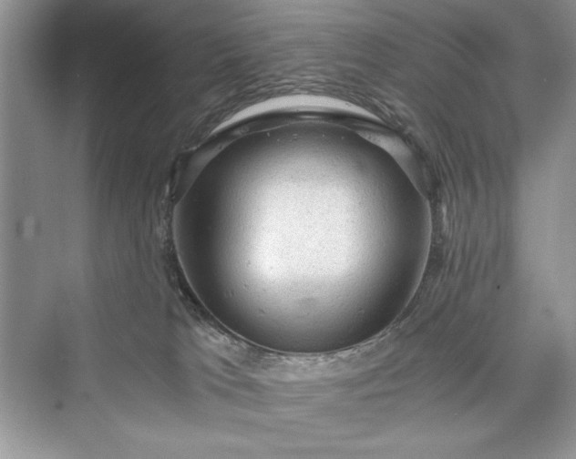 X0000073390037200608111244