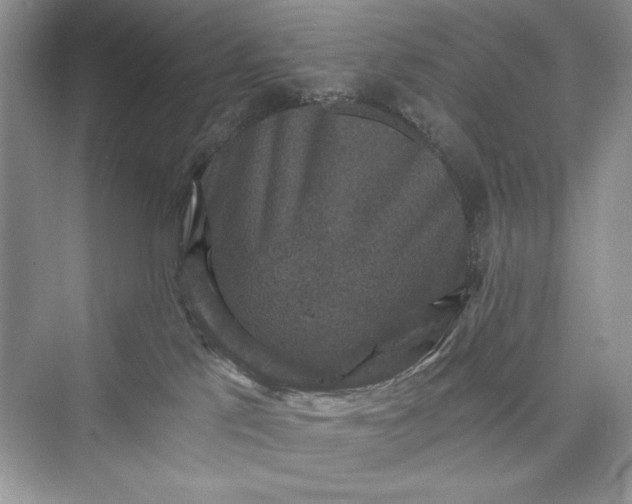 X0000073390041200608111244