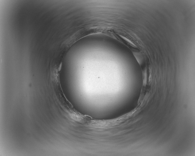 X0000073390045200608111244