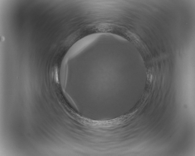 X0000073390046200608111244