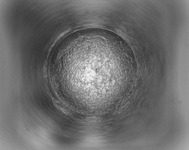 X0000073390050200608111243