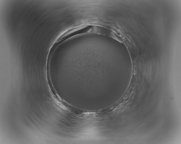 X0000073390052200608111243