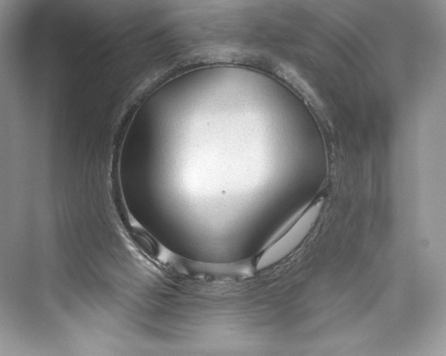 X0000073390058200608111244