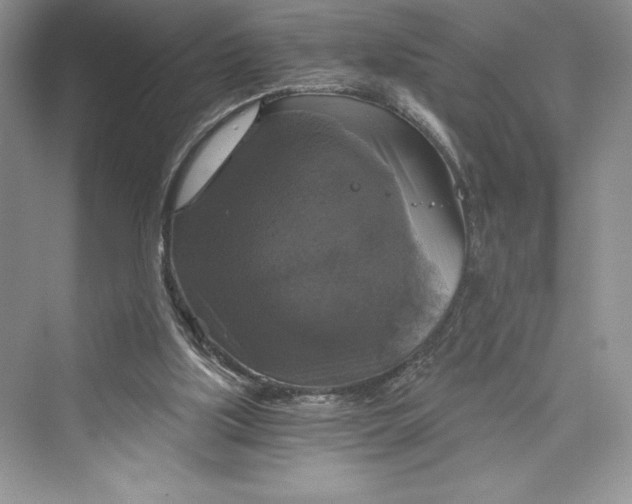 X0000073390059200608111244