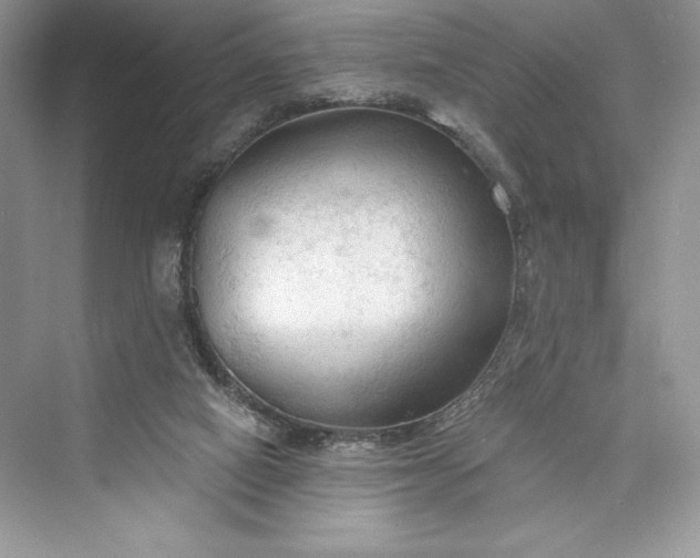 X0000073390066200608111244