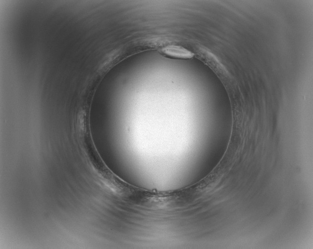X0000073390071200608111244