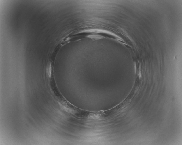 X0000073390076200608111244