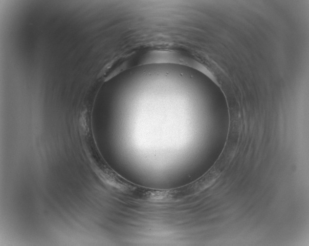 X0000073390088200608111244